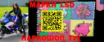 индика Братск