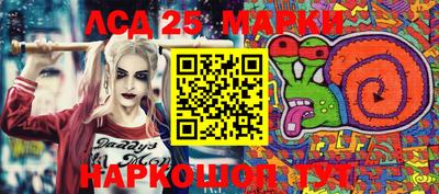 гидропоника Боровичи