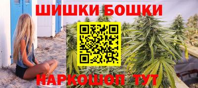 индика Братск