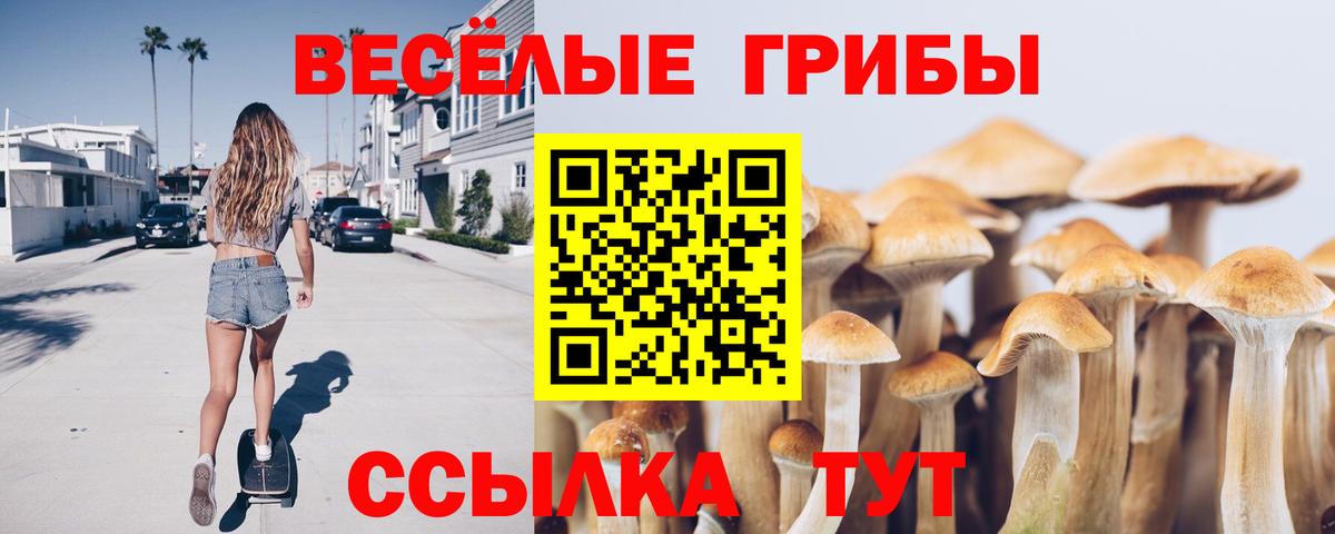 Галлюциногенные грибы Psilocybe Сосновоборск