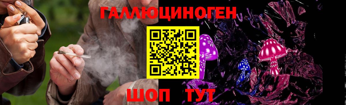 Сосновоборск  Псилоцибиновые грибы мицелий  Псилоцибиновые грибы MAGIC MUSHROOMS  Вход с VPN 