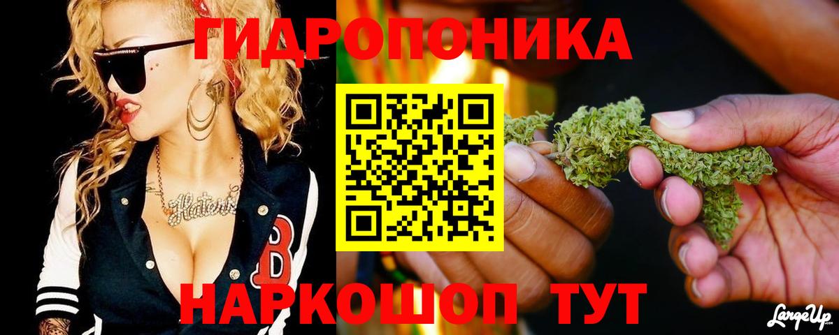 Бошки марихуана Bruce Banner Сосновоборск